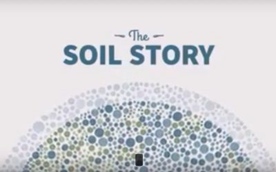 L’histoire du sol